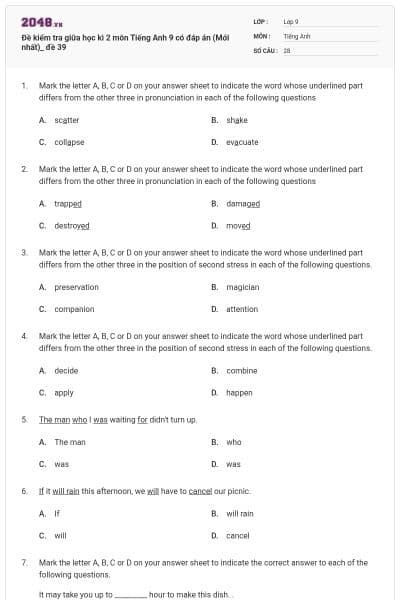 Đề kiểm tra giữa học kì 2 môn Tiếng Anh 9 có đáp án (Mới nhất)_ đề 39