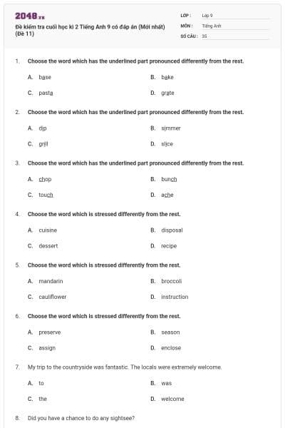 Đề kiểm tra cuối học kì 2 Tiếng Anh 9 có đáp án (Mới nhất) (Đề 11)