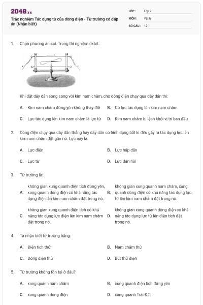 Trắc nghiệm Tác dụng từ của dòng điện - Từ trường có đáp án (Nhận biết)