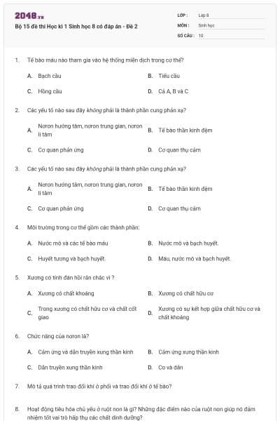 Bộ 15 đề thi Học kì 1 Sinh học 8 có đáp án - Đề 2