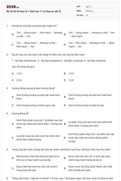 Bộ 20 đề thi Học kì 1 Sinh học 11 có đáp án (đề 4)