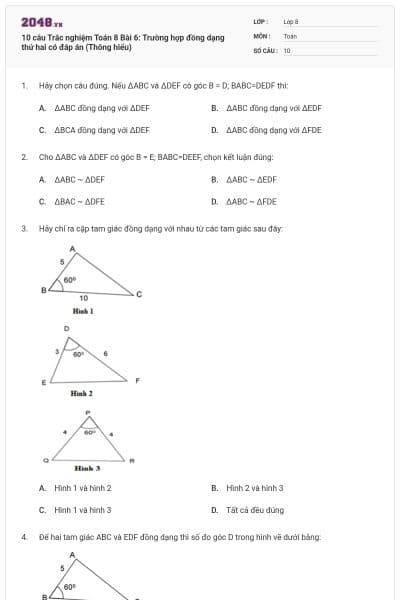 10 câu Trắc nghiệm Toán 8 Bài 6: Trường hợp đồng dạng thứ hai có đáp án (Thông hiểu)