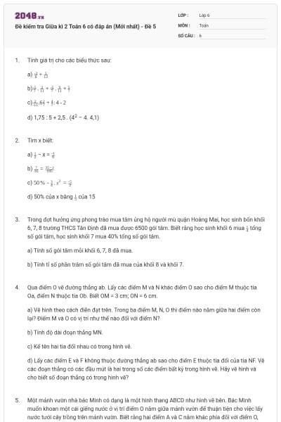 Đề kiểm tra Giữa kì 2 Toán 6 có đáp án (Mới nhất) - Đề 5