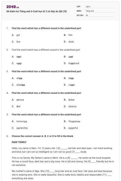 Đề kiểm tra Tiếng anh 6 Cuối học kì 2 có đáp án (Đề 29)