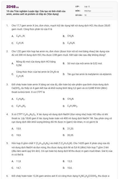 10 câu Trắc nghiệm Luyện tập: Cấu tạo và tính chất của amin, amino axit và protein có đáp án (Vận dụng)