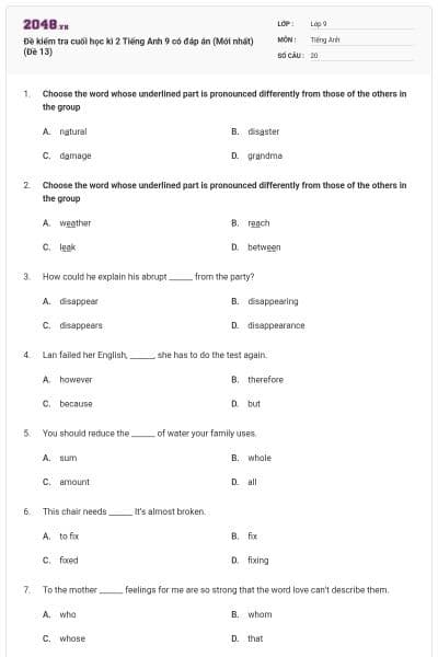 Đề kiểm tra cuối học kì 2 Tiếng Anh 9 có đáp án (Mới nhất) (Đề 13)