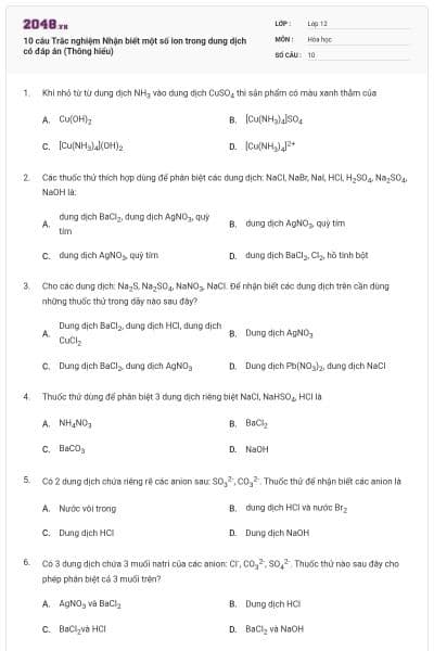 10 câu Trắc nghiệm Nhận biết một số ion trong dung dịch có đáp án (Thông hiểu)