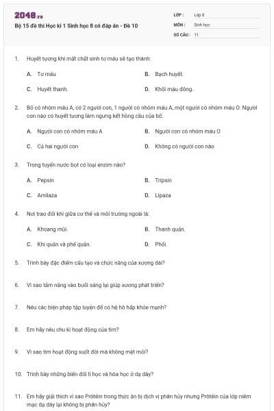 Bộ 15 đề thi Học kì 1 Sinh học 8 có đáp án - Đề 10