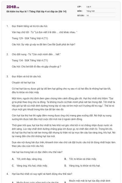 Đề kiểm tra Học kì 1 Tiếng Việt lớp 4 có đáp án (Đề 14)