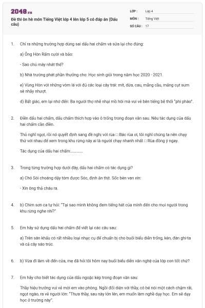 Đề thi ôn hè môn Tiếng Việt lớp 4 lên lớp 5 có đáp án (Dấu câu)