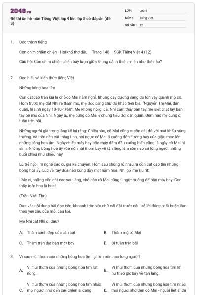 Đề thi ôn hè môn Tiếng Việt lớp 4 lên lớp 5 có đáp án (đề 3)