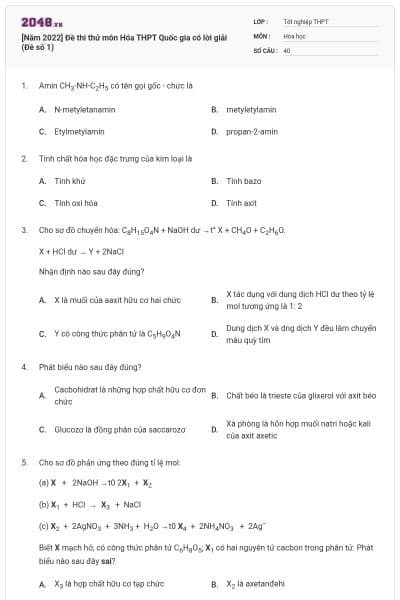 [Năm 2022] Đề thi thử môn Hóa THPT Quốc gia có lời giải (Đề số 1)