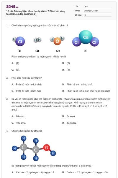 10 câu Trắc nghiệm Khoa học tự nhiên 7 Chân trời sáng tạo Bài 5 có đáp án (Phần 2)