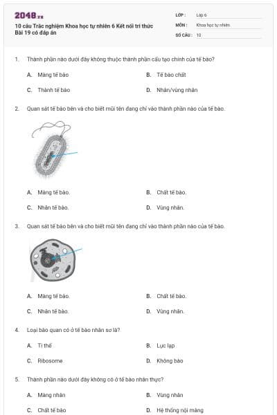 10 câu Trắc nghiệm Khoa học tự nhiên 6 Kết nối tri thức Bài 19 có đáp án