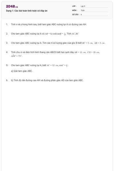 Dạng 1: Các bài toán tính toán có đáp án