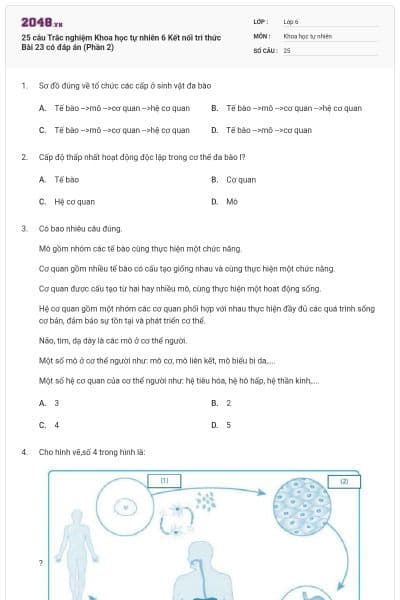 25 câu Trắc nghiệm Khoa học tự nhiên 6 Kết nối tri thức Bài 23 có đáp án (Phần 2)