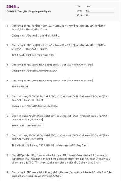 Chủ đề 2: Tam giác đồng dạng có đáp án