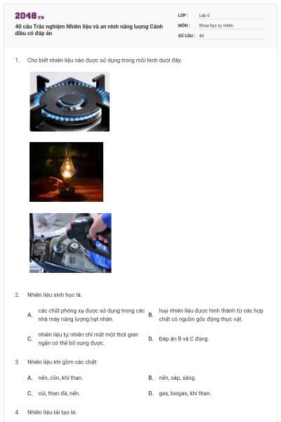 40 câu Trắc nghiệm Nhiên liệu và an ninh năng lượng Cánh diều có đáp án