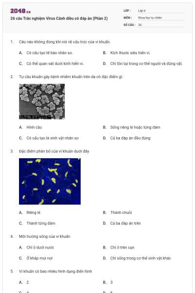 26 câu Trắc nghiệm Virus Cánh diều có đáp án (Phần 2)