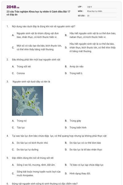 23 câu Trắc nghiệm Khoa học tự nhiên 6 Cánh diều Bài 17 có đáp án