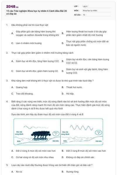 15 câu Trắc nghiệm Khoa học tự nhiên 6 Cánh diều Bài 20 có đáp án