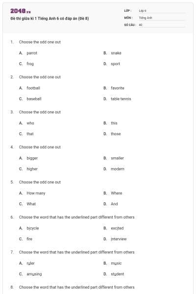 Đề thi giữa kì 1 Tiếng Anh 6 có đáp án (Đề 8)