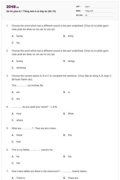 Đề thi giữa kì 1 Tiếng Anh 6 có đáp án (Đề 10)