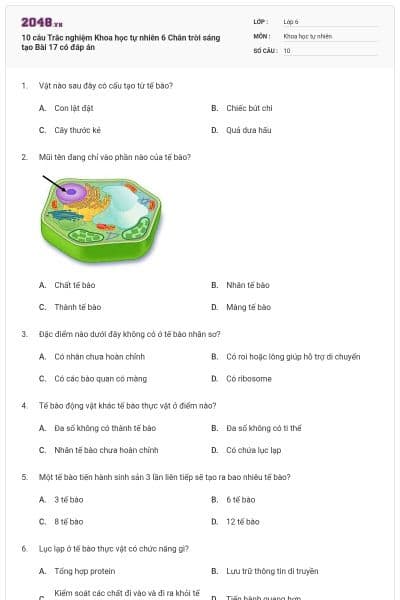 10 câu Trắc nghiệm Khoa học tự nhiên 6 Chân trời sáng tạo Bài 17 có đáp án