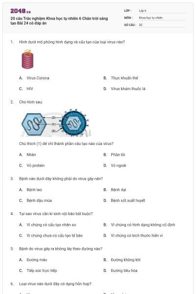 20 câu Trắc nghiệm Khoa học tự nhiên 6 Chân trời sáng tạo Bài 24 có đáp án