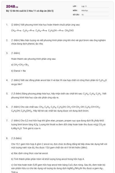 Bộ 12 Đề thi cuối kì 2 Hóa 11 có đáp án (Đề 5)