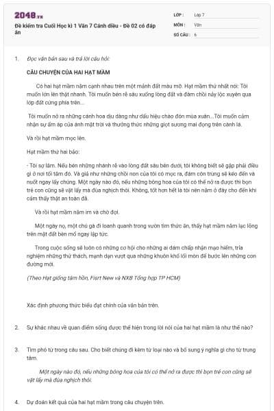 Đề kiểm tra Cuối Học kì 1 Văn 7 Cánh diều - Đề 02 có đáp án