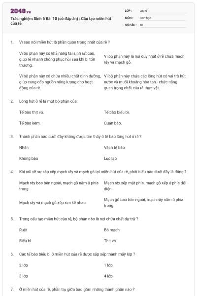 Trắc nghiệm Sinh 6 Bài 10 (có đáp án) : Cấu tạo miền hút của rễ