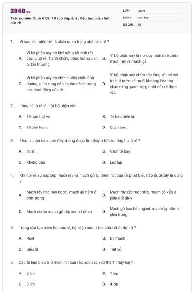 Trắc nghiệm Sinh 6 Bài 10 (có đáp án) : Cấu tạo miền hút của rễ