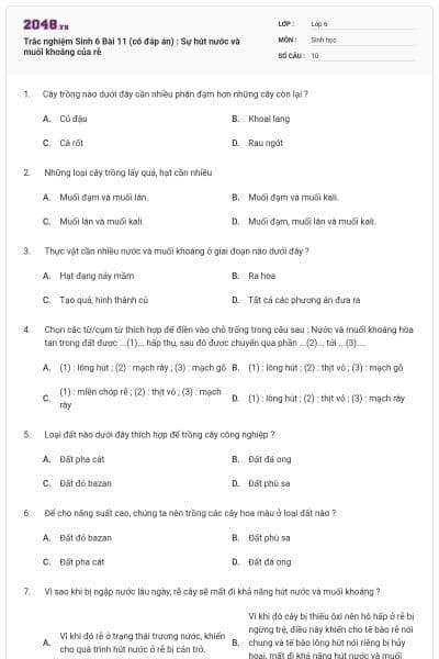 Trắc nghiệm Sinh 6 Bài 11 (có đáp án) : Sự hút nước và muối khoáng của rễ