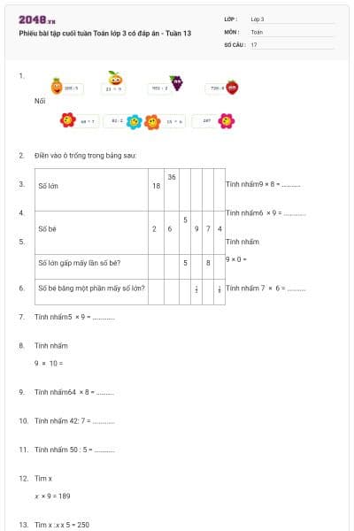 Phiếu bài tập cuối tuần Toán lớp 3 có đáp án - Tuần 13