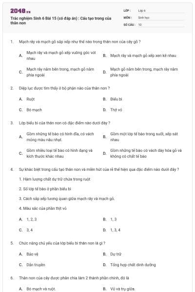 Trắc nghiệm Sinh 6 Bài 15 (có đáp án) : Cấu tạo trong của thân non