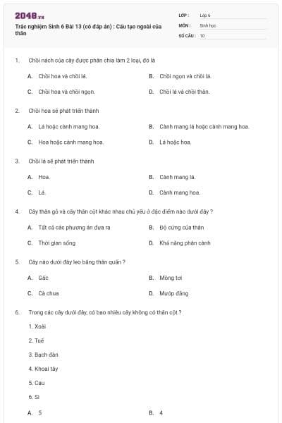 Trắc nghiệm Sinh 6 Bài 13 (có đáp án) : Cấu tạo ngoài của thân