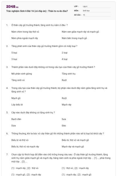 Trắc nghiệm Sinh 6 Bài 16 (có đáp án) : Thân to ra do đâu?