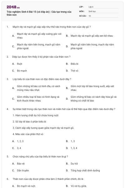 Trắc nghiệm Sinh 6 Bài 15 (có đáp án) : Cấu tạo trong của thân non