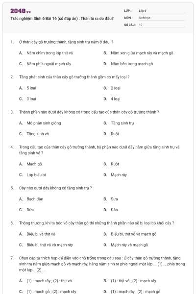 Trắc nghiệm Sinh 6 Bài 16 (có đáp án) : Thân to ra do đâu?