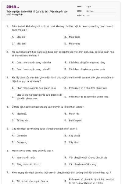 Trắc nghiệm Sinh 6 Bài 17 (có đáp án) : Vận chuyển các chất trong thân