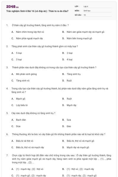 Trắc nghiệm Sinh 6 Bài 16 (có đáp án) : Thân to ra do đâu?