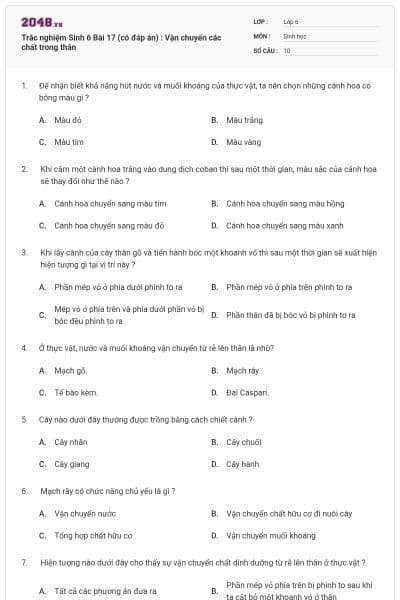 Trắc nghiệm Sinh 6 Bài 17 (có đáp án) : Vận chuyển các chất trong thân