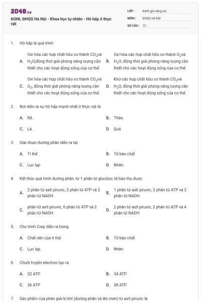 ĐGNL ĐHQG Hà Nội - Khoa học tự nhiên - Hô hấp ở thực vật