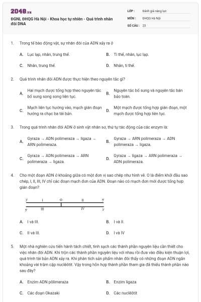 ĐGNL ĐHQG Hà Nội - Khoa học tự nhiên - Quá trình nhân đôi DNA