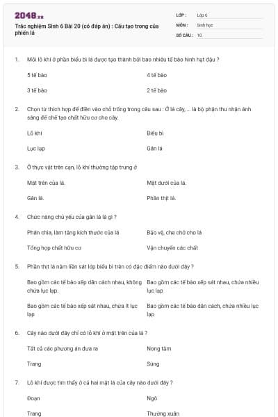 Trắc nghiệm Sinh 6 Bài 20 (có đáp án) : Cấu tạo trong của phiến lá