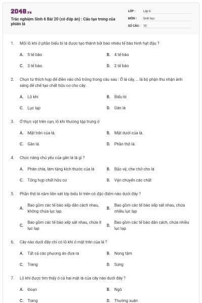 Trắc nghiệm Sinh 6 Bài 20 (có đáp án) : Cấu tạo trong của phiến lá