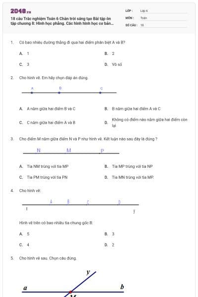 18 câu Trắc nghiệm Toán 6 Chân trời sáng tạo Bài tập ôn tập chương 8: Hình học phẳng. Các hình hình học cơ bản (có đáp án)