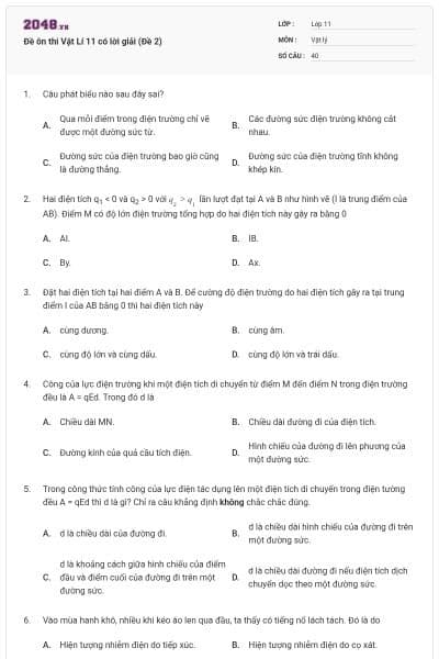 Đề ôn thi Vật Lí 11 có lời giải (Đề 2)