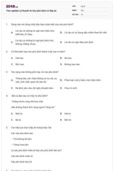 Trắc nghiệm Lý thuyết về Câu phủ định có đáp án